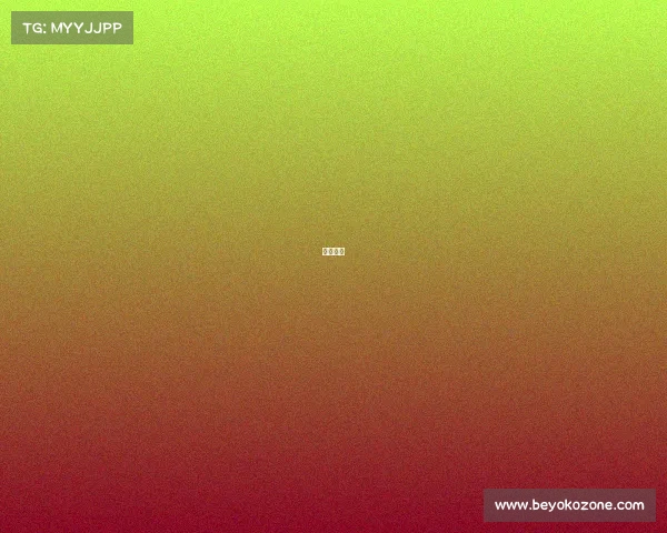 状元冠军 状元冠军